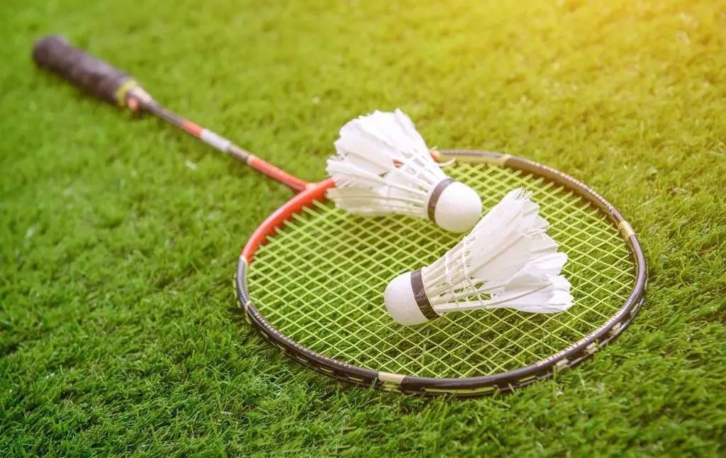 明年再来扬 明年再来扬