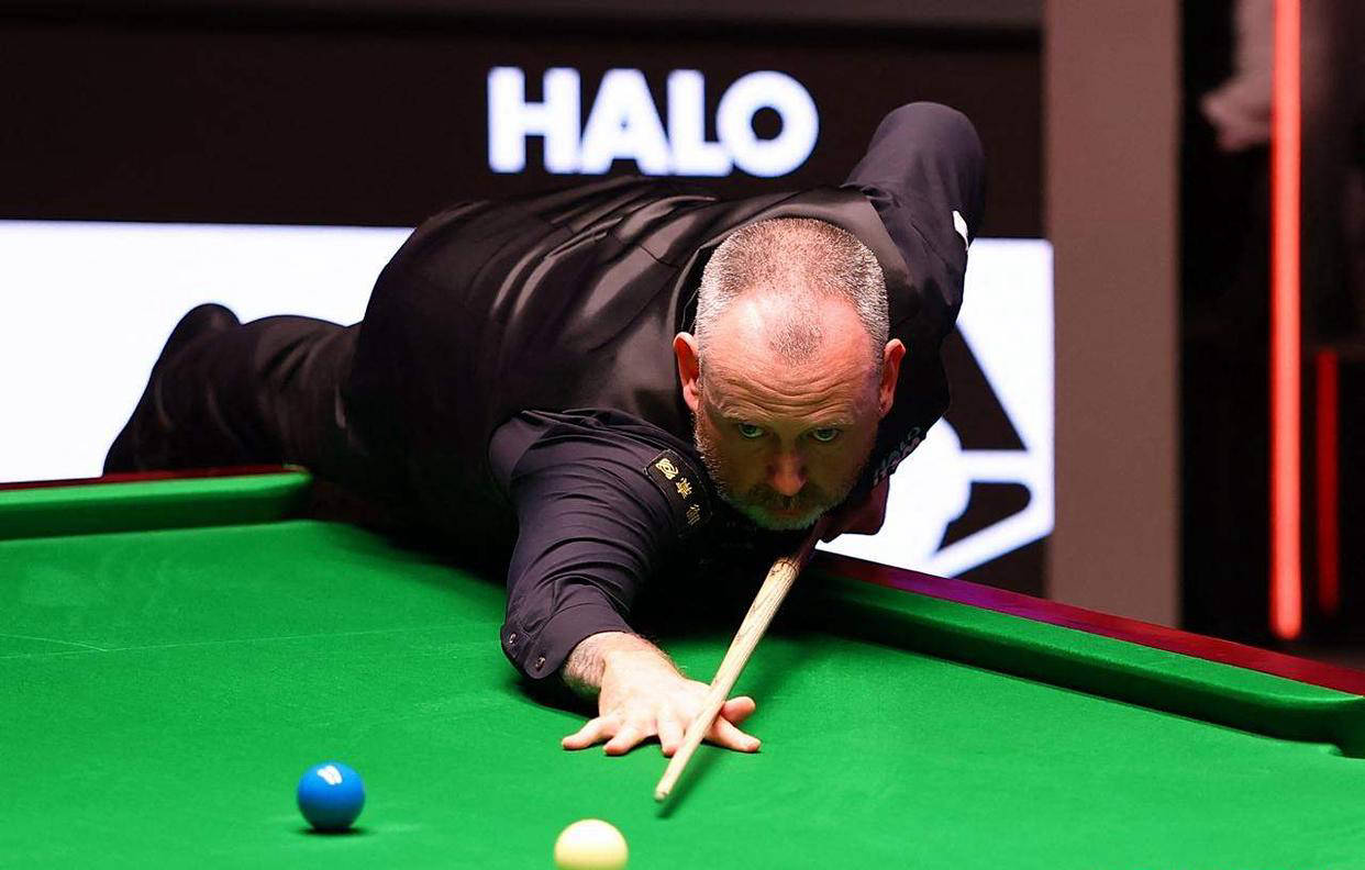 环境的适应 环境的适应