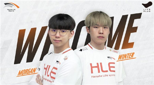 成率较传统 成率较传统