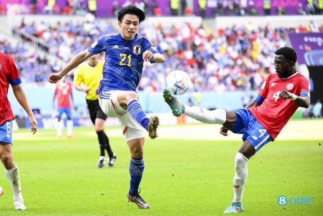 高水平选手 高水平选手
